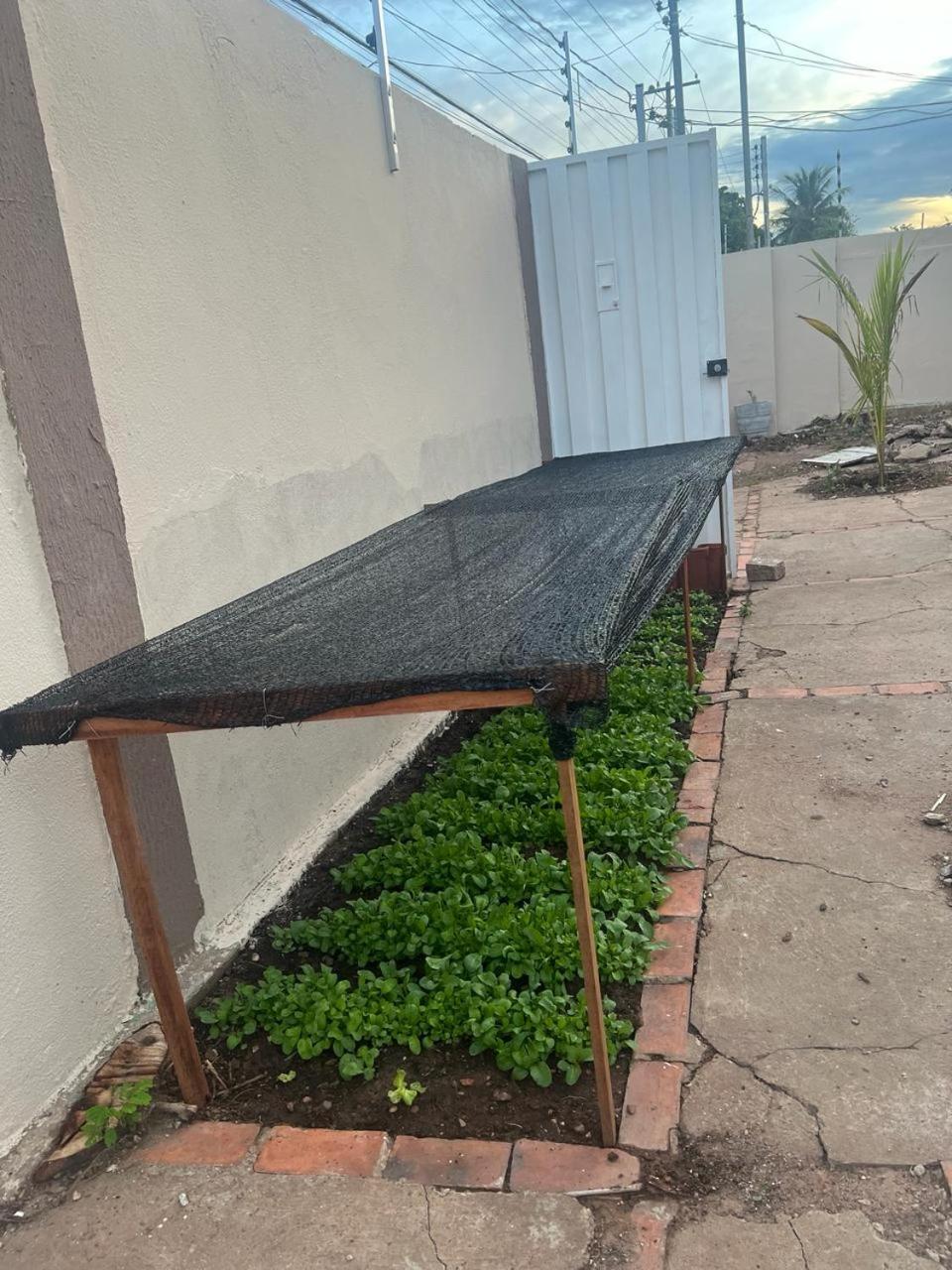 Hotel Ceres - Quarto Toca Do Lobo - 23 Cuiaba  Ngoại thất bức ảnh